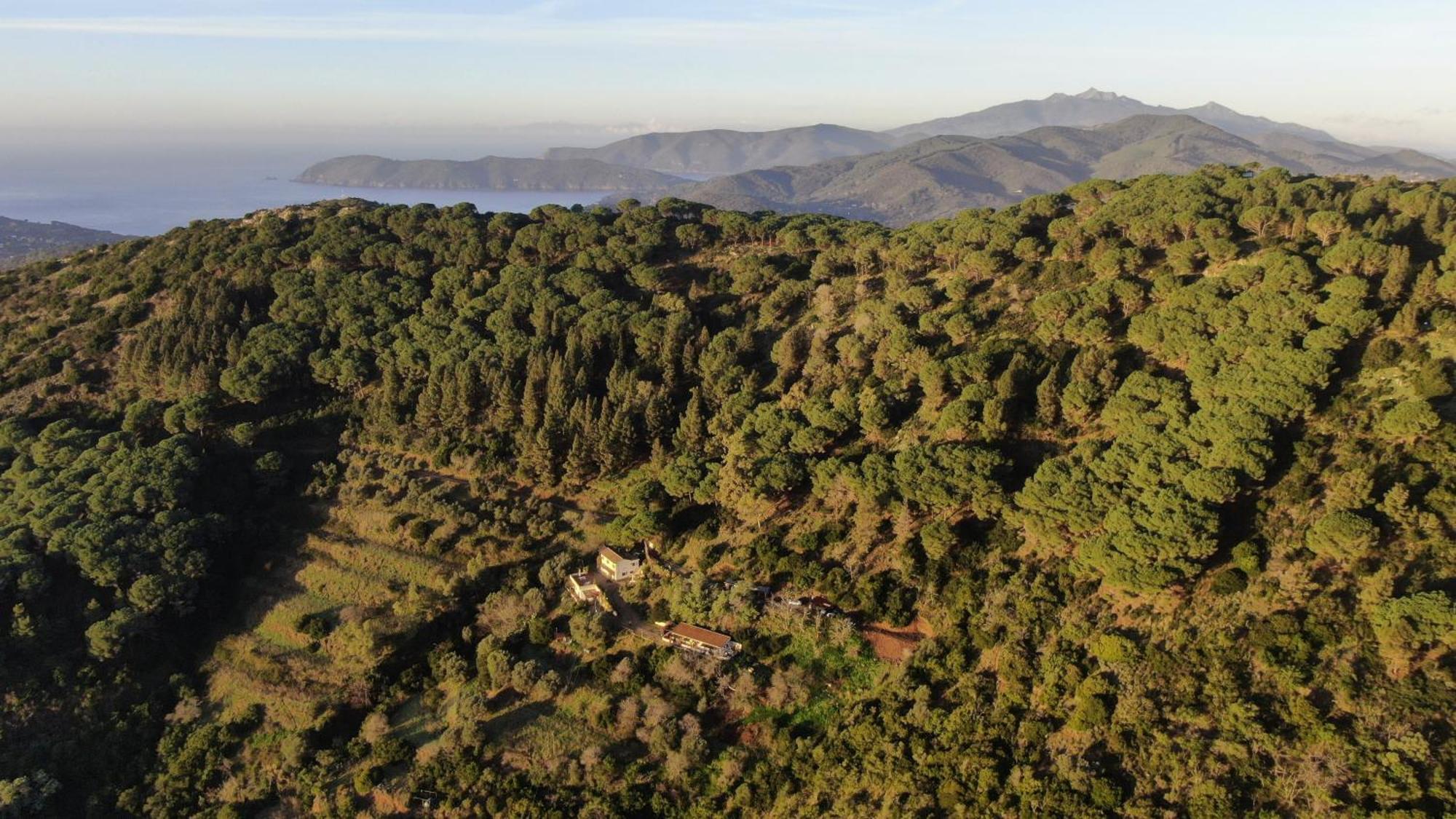 Апартаменты Aria Di Collina - Isola D'Elba Порт-Аццурро Экстерьер фото