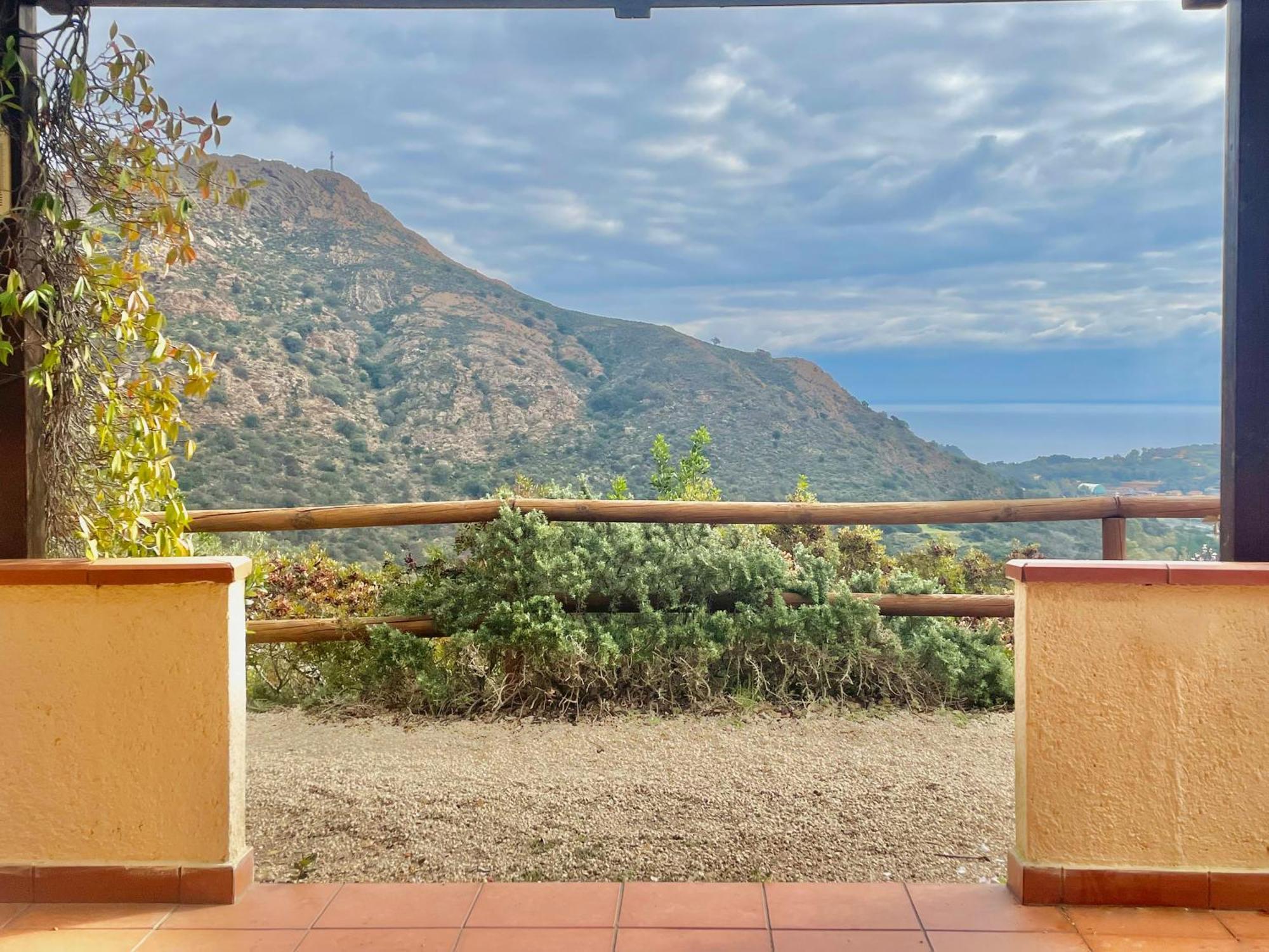 Апартаменты Aria Di Collina - Isola D'Elba Порт-Аццурро Номер фото